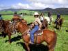 Big Island Hawaii Horseback Riding Tours